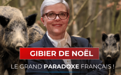 Gibier de Noël : le grand paradoxe français
