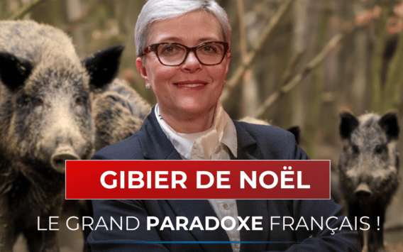 Gibier de Noel : Le grand paradoxe français - Question écrite de la député Sandra Delannoy