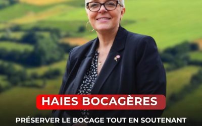 Haies bocagères : préserver le bocage tout en soutenant les agriculteurs et l’équilibre des territoires ruraux